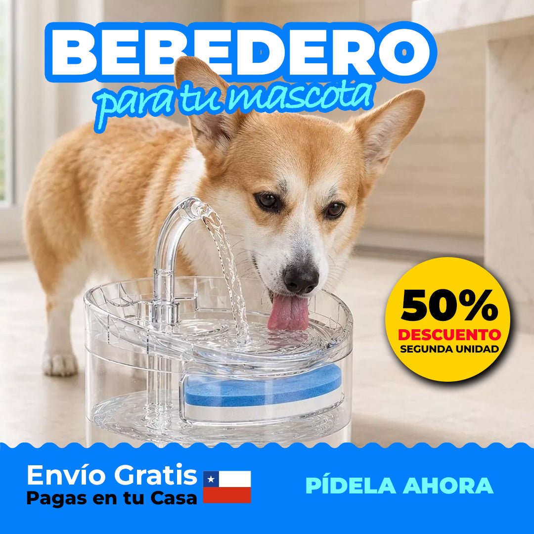 Bebedero Mascotas Transparente